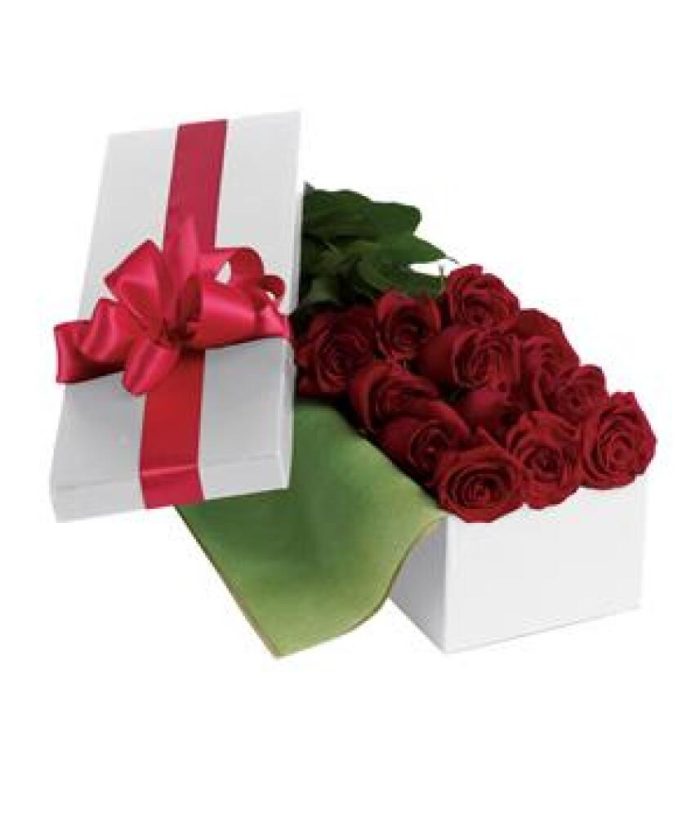 Roses For You PR24