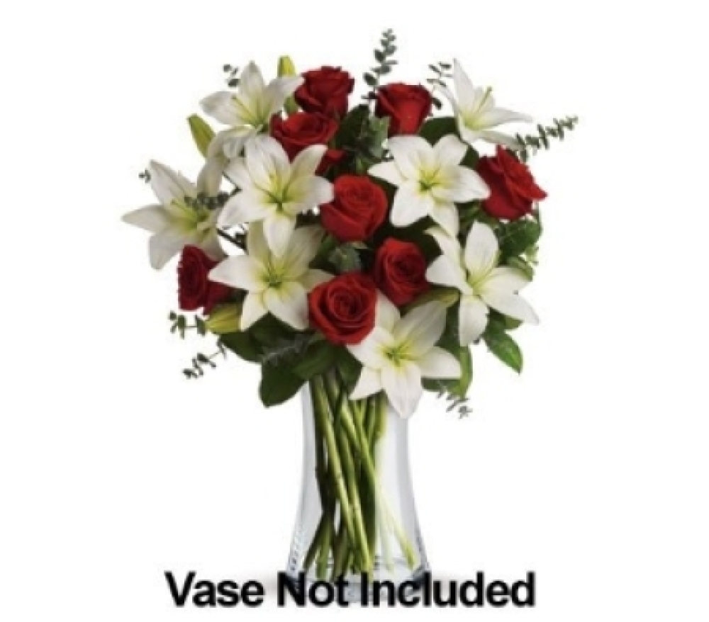 PX1NV Elegant Christmas