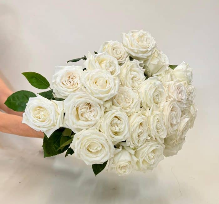 Fleur Delight