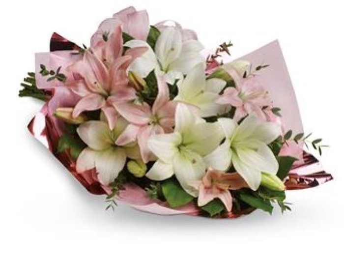 PB40 Lovely Lillies