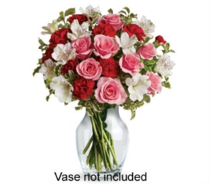 PV9NV Love Grows