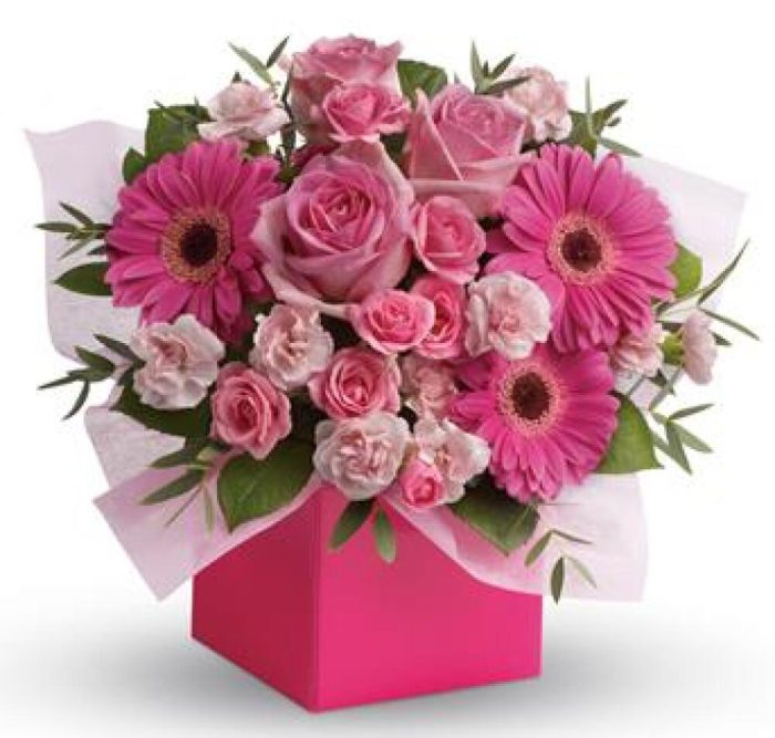 PA46 Think Pink