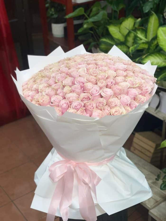 Blushing Romance